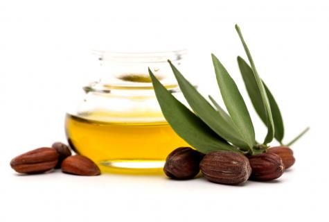 Jojoba oil: than it is useful and how to use in house conditions